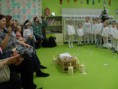 /album/a14-12-2018-adventna-besiedka-2018/sam-8246-jpg/
