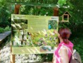 /album/a18-6-2019-koncorocny-vylet-do-trnavy-na-kamenny-mlyn/img-20190618-091650-jpg/
