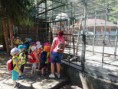 /album/a18-6-2019-koncorocny-vylet-do-trnavy-na-kamenny-mlyn/img-20190618-104911-jpg/