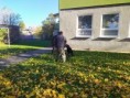 /album/9-11-2021-ukazka-vycviku-psov-vu-vinicne/img-20211109-102209-jpg/