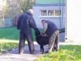 /album/9-11-2021-ukazka-vycviku-psov-vu-vinicne/img-20211109-102315-jpg/
