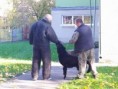/album/9-11-2021-ukazka-vycviku-psov-vu-vinicne/img-20211109-102316-1-jpg/
