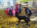 /album/9-11-2021-ukazka-vycviku-psov-vu-vinicne/img-20211109-103047-jpg/
