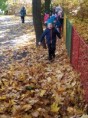 /album/9-11-2021-nasa-kazdorocna-radost-skakanie-do-kopy-listia/img-20211109-104215-jpg/