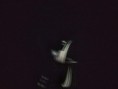 /album/15-2-2022-planetarium-prieskum-planet-s-mimozemstanom/received-630004014894281-jpeg/