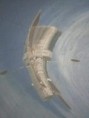 /album/15-2-2022-planetarium-prieskum-planet-s-mimozemstanom/received-676307186904839-jpeg/