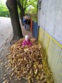 /album/14-10-2022-skok-do-listia/img-20221013-104222-jpg/