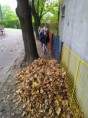 /album/14-10-2022-skok-do-listia/img-20221013-104230-jpg/