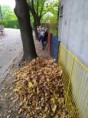 /album/14-10-2022-skok-do-listia/img-20221013-104239-jpg/