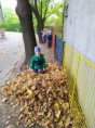 /album/14-10-2022-skok-do-listia/img-20221013-104302-jpg/