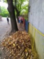 /album/14-10-2022-skok-do-listia/img-20221013-104314-jpg/