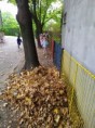 /album/14-10-2022-skok-do-listia/img-20221013-104354-jpg/