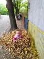 /album/14-10-2022-skok-do-listia/img-20221013-104412-jpg/