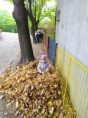 /album/14-10-2022-skok-do-listia/img-20221013-104423-jpg/