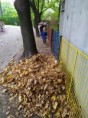 /album/14-10-2022-skok-do-listia/img-20221013-104434-jpg/