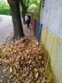 /album/14-10-2022-skok-do-listia/img-20221013-104444-jpg/