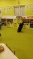 /album/5-6-2023-mdd/img-20230605-wa0061-jpg/