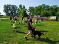 /album/20-6-2023-skolsky-vylet-senec/img-20230620-091039-jpg/