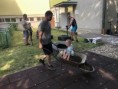 /album/7-8-2023-brigada/image-50448897-jpg/
