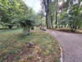 /album/10-10-2023-vychadzka-do-mestskeho-parku/20231010-102705-jpg/