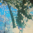 /album/1-12-2023-astroshow-vianoce/20231201-091351-jpg/