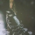 /album/1-12-2023-astroshow-vianoce/20231201-091635-jpg/