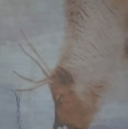 /album/1-12-2023-astroshow-vianoce/20231201-091653-jpg/