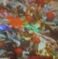 /album/1-12-2023-astroshow-vianoce/20231201-091837-jpg/