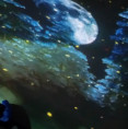 /album/1-12-2023-astroshow-vianoce/20231201-092729-jpg/