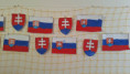 /album/21-5-2024-spoznavame-europu-slovenska-zastava-znak/20240521-131156-jpg/