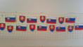 /album/21-5-2024-spoznavame-europu-slovenska-zastava-znak/20240521-131210-jpg/
